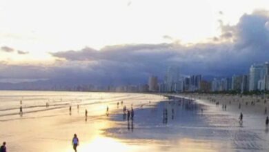 Ao olhar para a foto do pôr do sol na Praia Grande, é possível sentir uma sensação de paz e serenidade. O sol está se pondo no horizonte, tingindo o céu de tons alaranjados e vermelhos, enquanto a silhueta de palmeiras e coqueiros se destaca contra o céu. As ondas suaves do mar e a brisa fresca completam a atmosfera relaxante e envolvente do cenário. A Praia Grande é um dos destinos mais populares da região, e oferece uma variedade de opções de lazer e entretenimento para os visitantes. Durante o dia, é possível se refrescar nas águas claras da praia, praticar esportes aquáticos, ou simplesmente relaxar ao sol em uma das muitas cadeiras de praia disponíveis. À noite, a praia se transforma em um ponto de encontro para os moradores locais e turistas, com uma animada vida noturna que inclui bares, restaurantes e shows. Mas é no pôr do sol que a Praia Grande revela sua verdadeira magia. O espetáculo da natureza é uma atração imperdível, e muitos visitantes se reúnem na praia para admirar o sol se pôr no horizonte. É um momento de contemplação e reflexão, onde se pode apreciar a beleza da vida e da natureza, e sentir-se em paz consigo mesmo e com o mundo ao redor. Em resumo, a Praia Grande é um destino completo, que oferece belezas naturais, atividades de lazer, boa infraestrutura e uma atmosfera acolhedora e envolvente. A foto do pôr do sol é um lembrete daquilo que a praia tem de melhor: uma beleza natural indescritível, que se mistura com a alegria e a vitalidade de seus visitantes. Certamente, um destino que vale a pena conhecer e explorar.