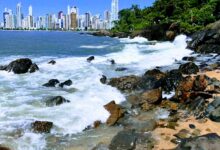 Explore a deslumbrante paisagem de Balneário Camboriú. Uma visão serena do mar azul, a vegetação exuberante à beira-mar, a vibrante cidade à distância e a praia com sua areia dourada e pedras pitorescas. Um cenário encantador que convida você a desfrutar de momentos de tranquilidade e contemplação.