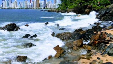 Explore a deslumbrante paisagem de Balneário Camboriú. Uma visão serena do mar azul, a vegetação exuberante à beira-mar, a vibrante cidade à distância e a praia com sua areia dourada e pedras pitorescas. Um cenário encantador que convida você a desfrutar de momentos de tranquilidade e contemplação.