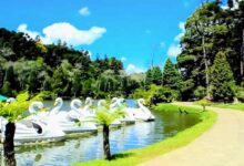 Uma pitoresca cidade encantada: Gramado. Rodeada por belas paisagens da Serra Gaúcha, esta cidade cativa com seu charme arquitetônico, ruas floridas e clima acolhedor. Descubra a magia de Gramado e deixe-se encantar por seus cenários deslumbrantes.