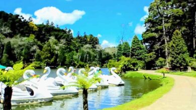 Uma pitoresca cidade encantada: Gramado. Rodeada por belas paisagens da Serra Gaúcha, esta cidade cativa com seu charme arquitetônico, ruas floridas e clima acolhedor. Descubra a magia de Gramado e deixe-se encantar por seus cenários deslumbrantes.