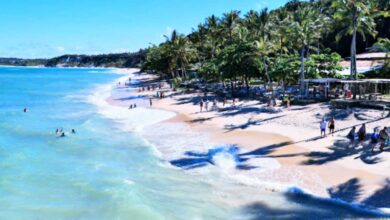 Descubra as Praias Mais Bonitas do Brasil e mergulhe em um mundo de paisagens deslumbrantes. Explore destinos paradisíacos, com areias douradas, águas cristalinas e uma natureza exuberante. Encante-se com a beleza única de cada praia e aproveite momentos inesquecíveis em meio a cenários de tirar o fôlego. Das praias do Nordeste às praias do Sul, o Brasil oferece uma variedade de tesouros costeiros que irão cativar sua imaginação. Prepare-se para se maravilhar com as Praias Mais Bonitas do Brasil e deixe-se envolver por sua magnificência natural.