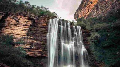 Imagem de uma deslumbrante cachoeira na Chapada Diamantina, onde as águas cristalinas caem com vigor e criam um espetáculo de beleza natural. Uma visão refrescante e revigorante da exuberante paisagem da região.