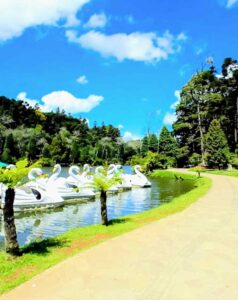 Uma pitoresca cidade encantada: Gramado. Rodeada por belas paisagens da Serra Gaúcha, esta cidade cativa com seu charme arquitetônico, ruas floridas e clima acolhedor. Descubra a magia de Gramado e deixe-se encantar por seus cenários deslumbrantes.