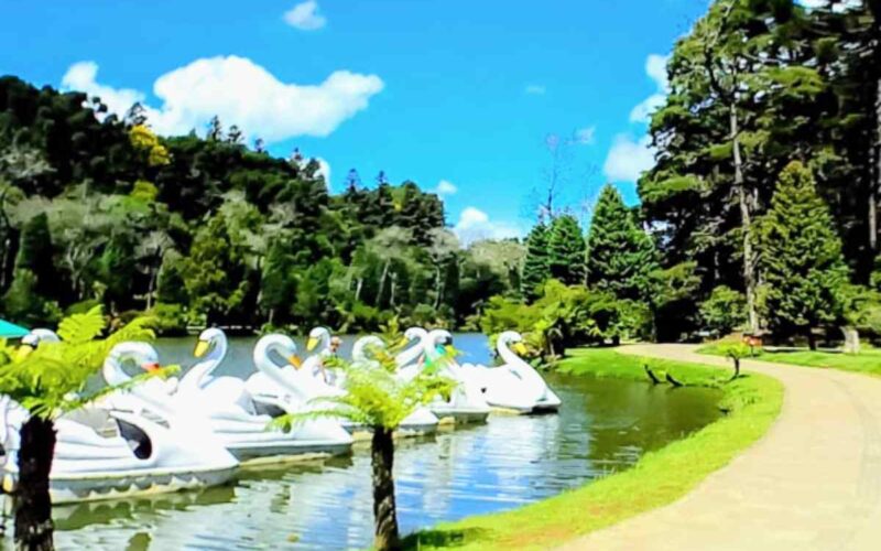 Uma pitoresca cidade encantada: Gramado. Rodeada por belas paisagens da Serra Gaúcha, esta cidade cativa com seu charme arquitetônico, ruas floridas e clima acolhedor. Descubra a magia de Gramado e deixe-se encantar por seus cenários deslumbrantes.